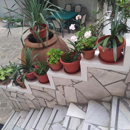 Каламанди Assenowgrad Exterior foto