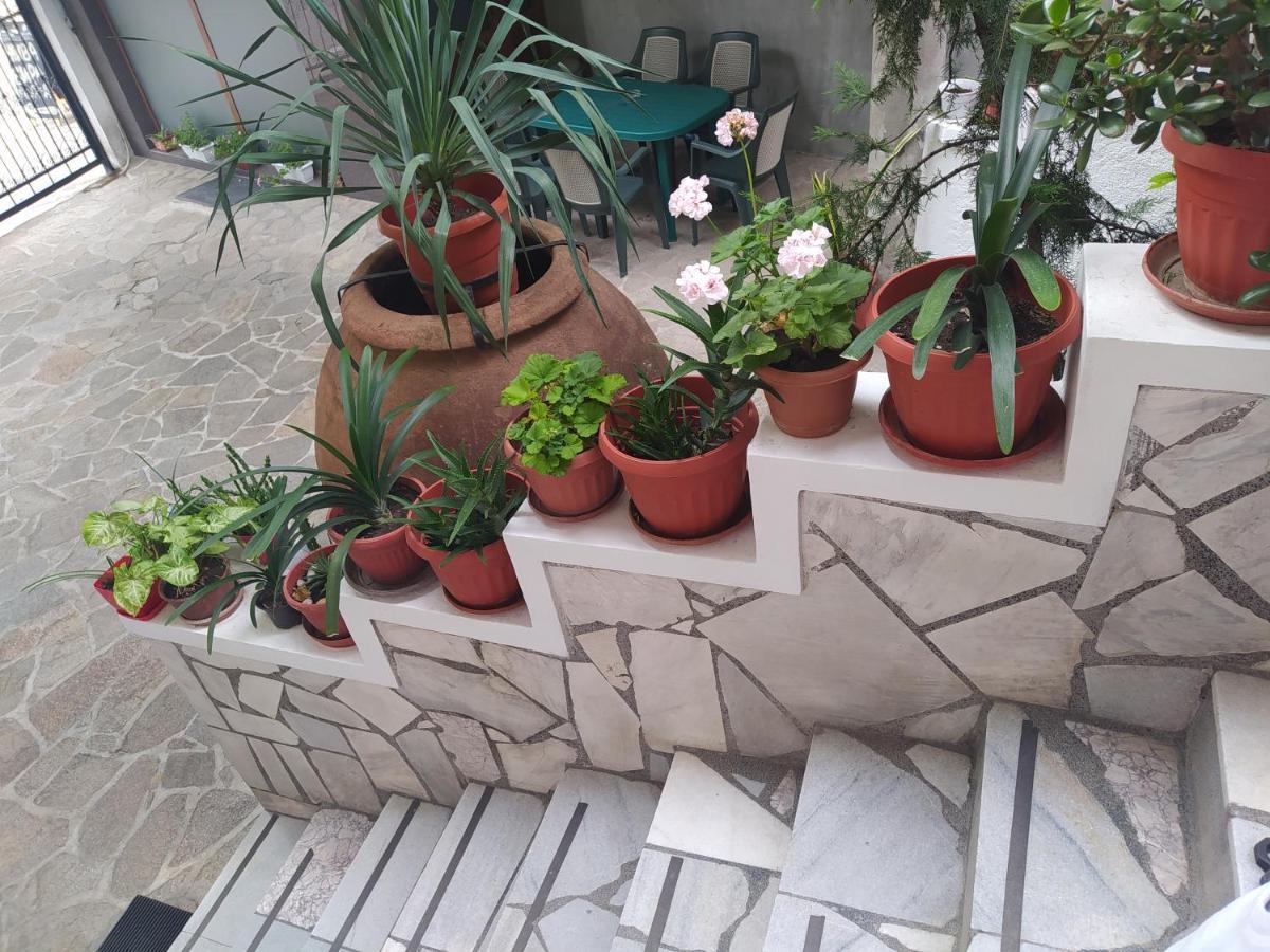 Каламанди Assenowgrad Exterior foto